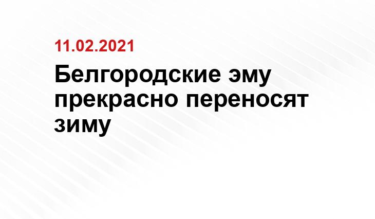 vk.com/public122906022