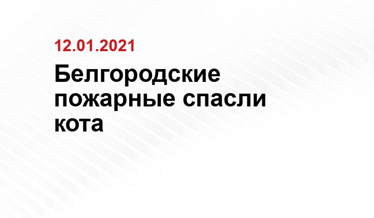31.mchs.gov.ru