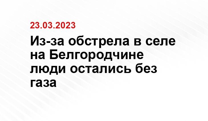 profiz.ru