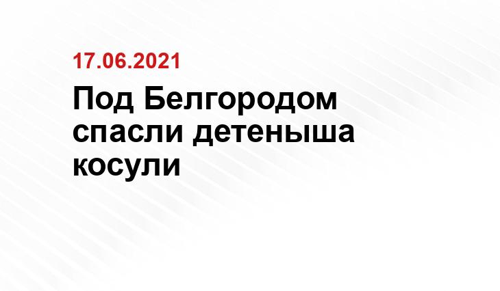 vk.com/belgorod_region