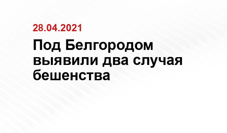 belmvl.ru