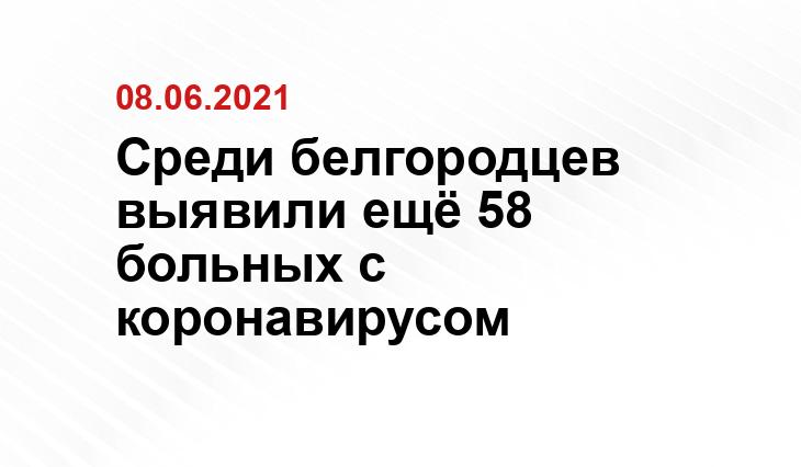 go31.ru