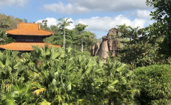 Старение населения и спад рождаемости ставят КНР в опасность - например, на индийском фланге Старение населения и спад рождаемости ставят КНР в опасность - например, на индийском фланге